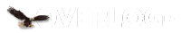 overlog logo 200